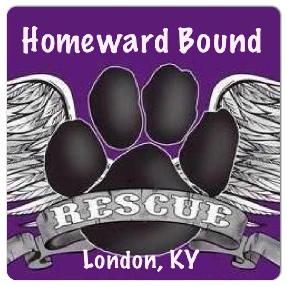 Homeward Bound